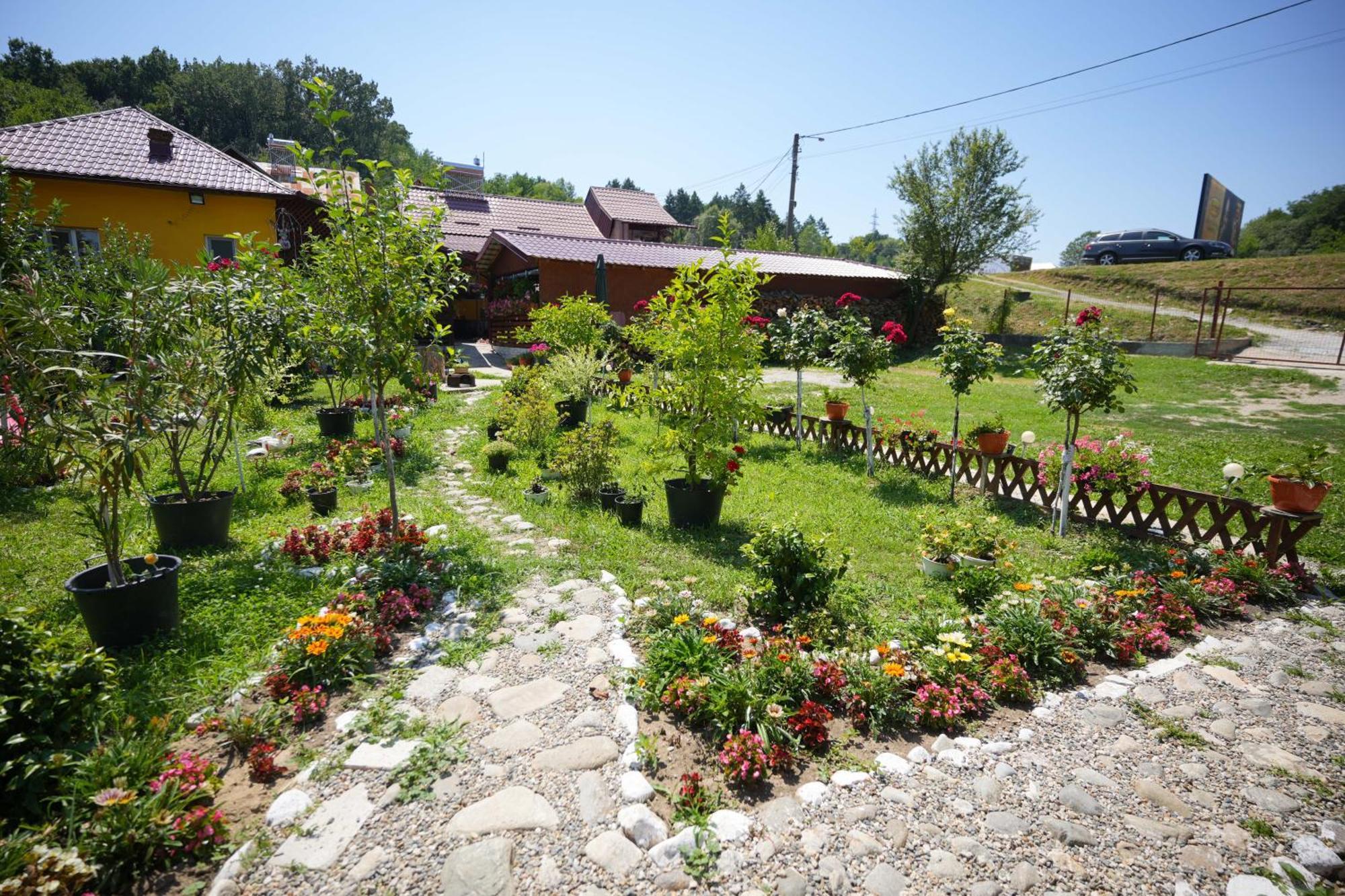 Casa Ion Apartment Horezu Exterior photo
