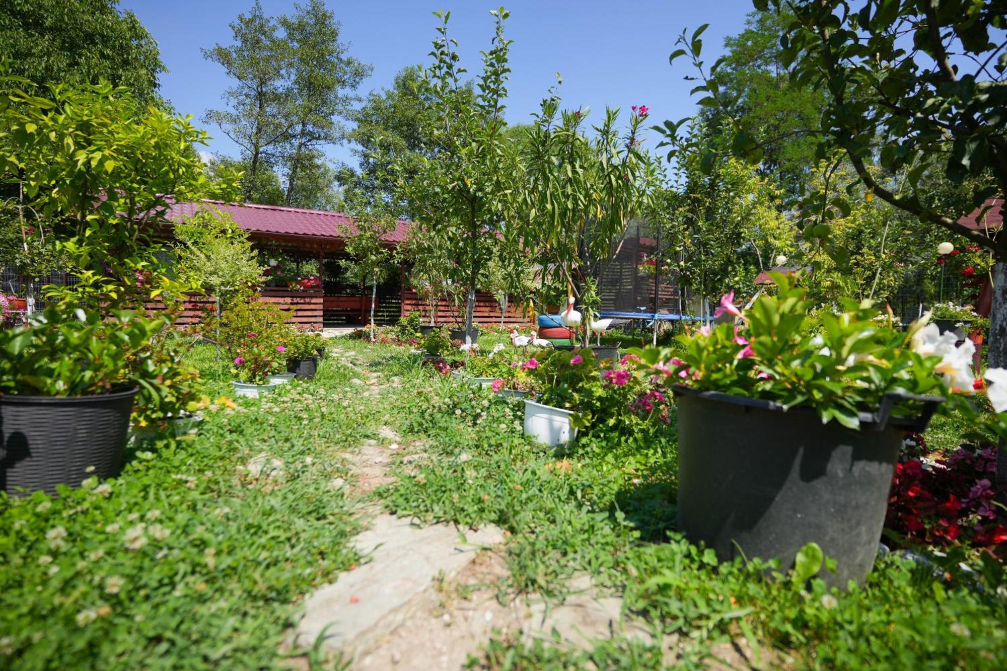 Casa Ion Apartment Horezu Exterior photo