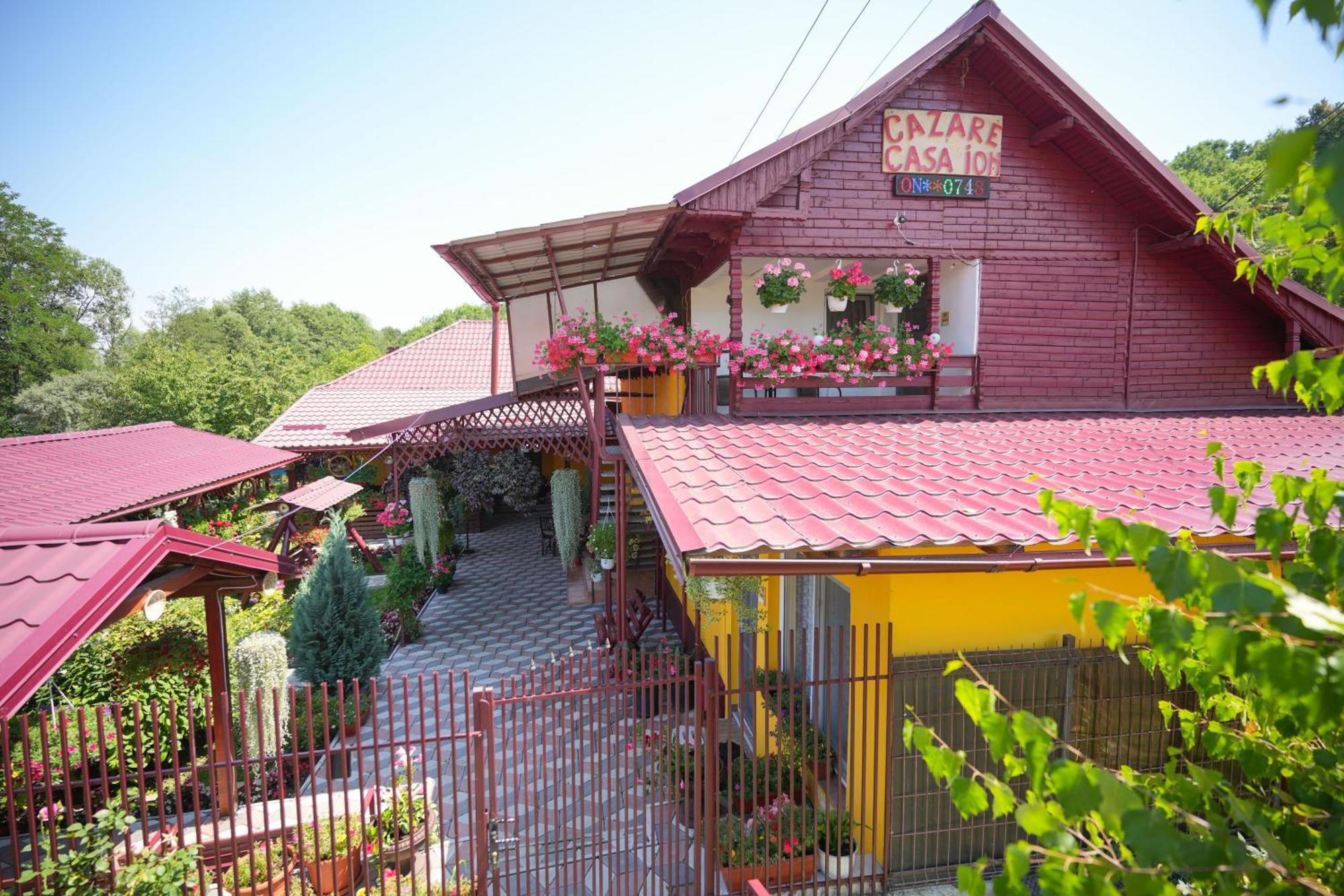 Casa Ion Apartment Horezu Exterior photo